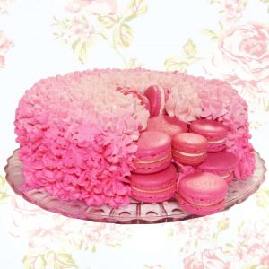 macaron surprise cake