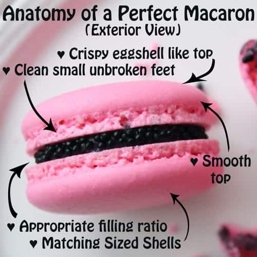 Macaron Size Chart