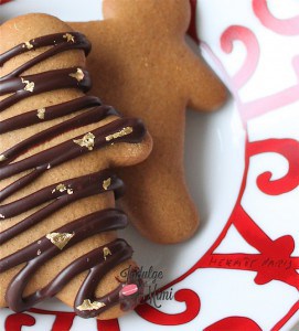 chocolate-gingerbread-recipe