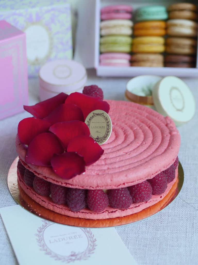Iconic Ispahan macaron cake with 2 pink macaron shells and fresh raspberries sandwiched in between.