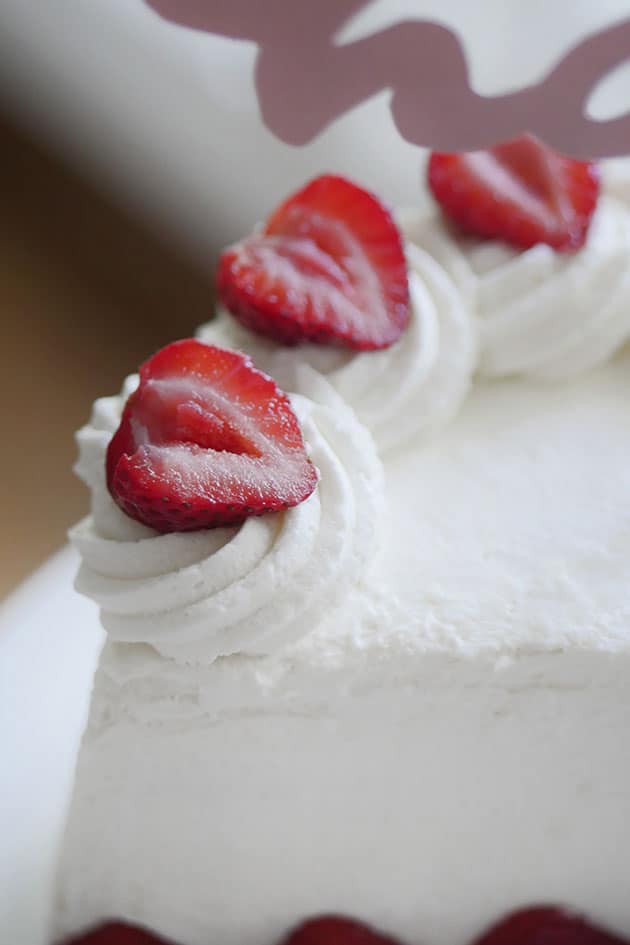 Close up of whipped cream that is piped in rossette shape.