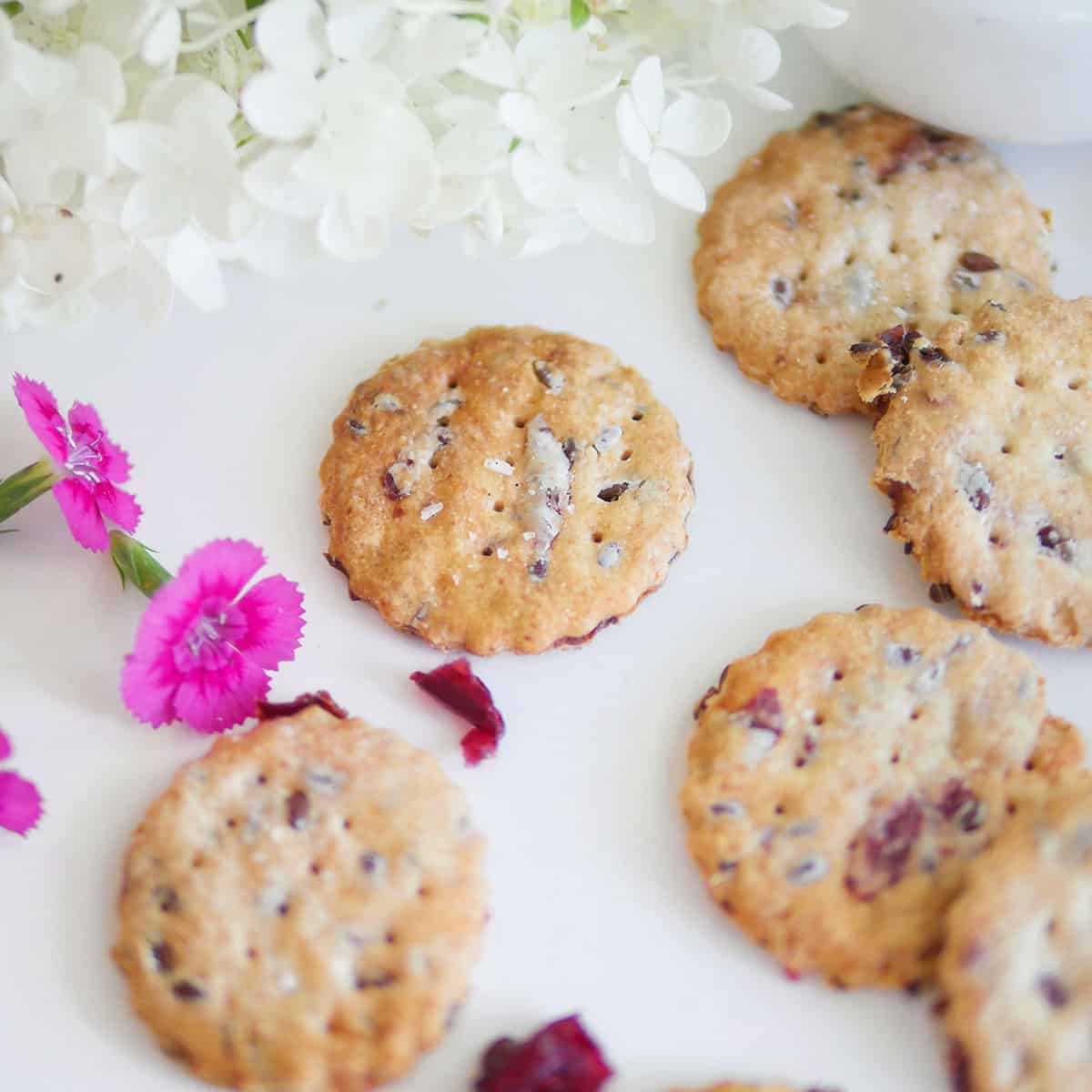 Close up of sourdough discard crackers with cranberry shown with some flowers in the back.