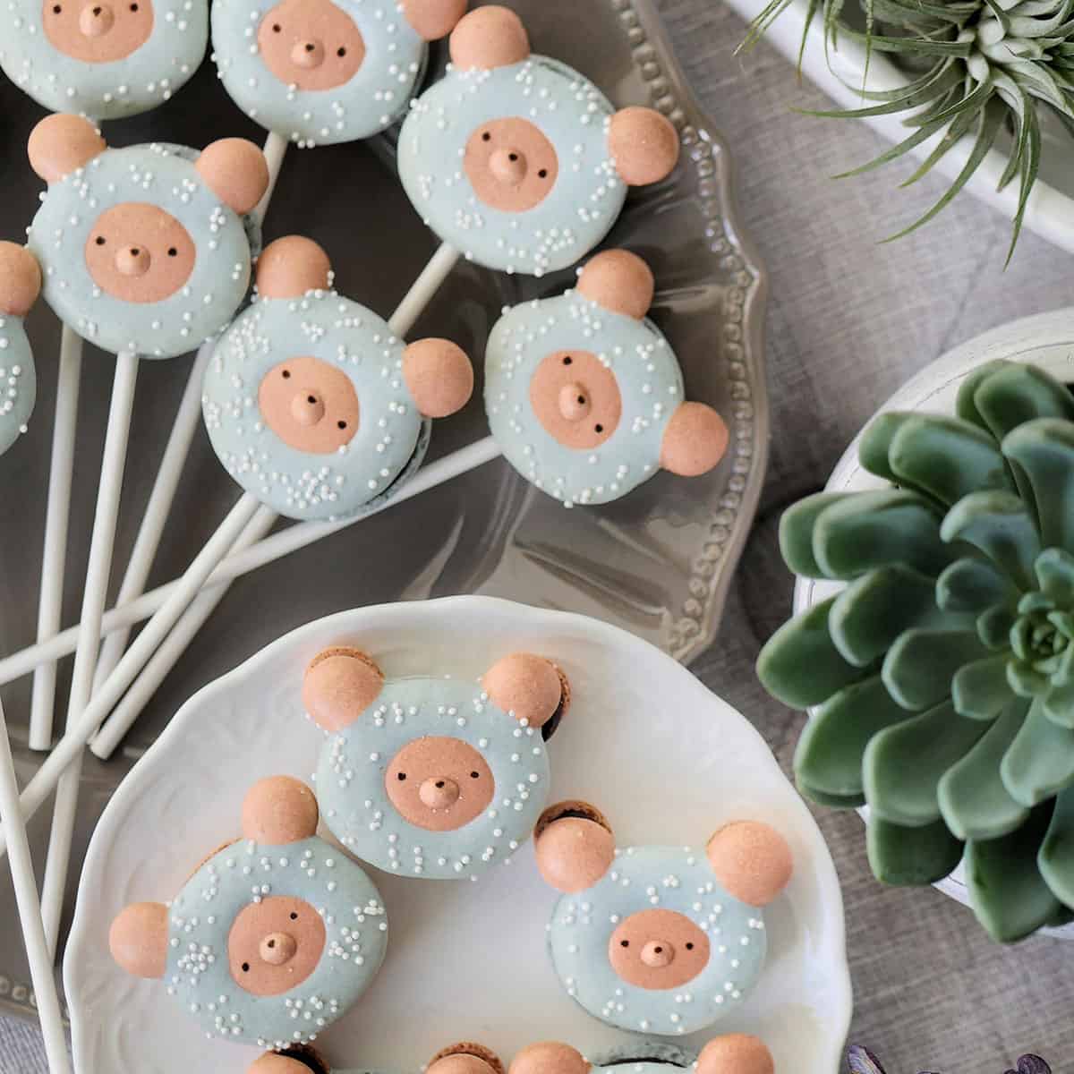 Top down view of macaron lollipops filled with chocolate filling.