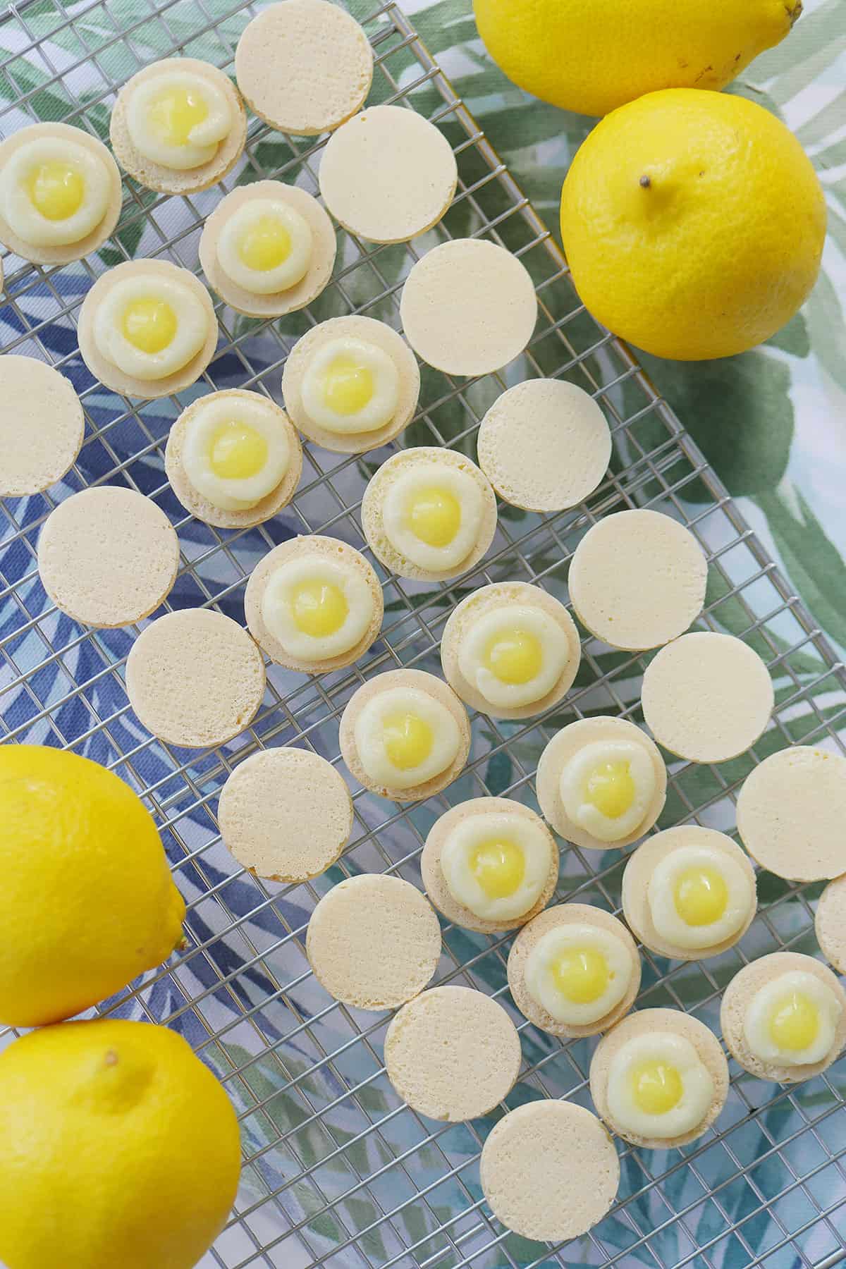 Macaron shells on a cooling rack showing a ring of buttercream with a dollop of lemon curd in the center. 