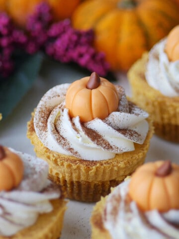 Close up on pumpkin cheesecake cups with real pumpkin in the back.