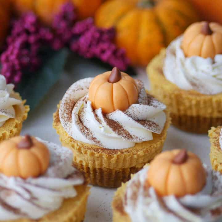 Close up on pumpkin cheesecake cups with real pumpkin in the back.