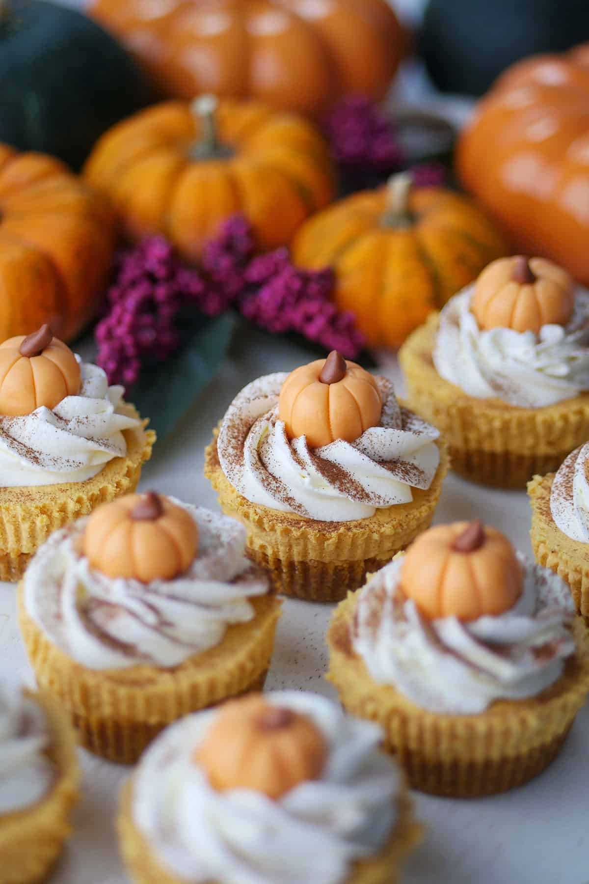 A whole bunch of pumpkin cheesecake cups on a white counter with real pumpkins and squash in the back. 
