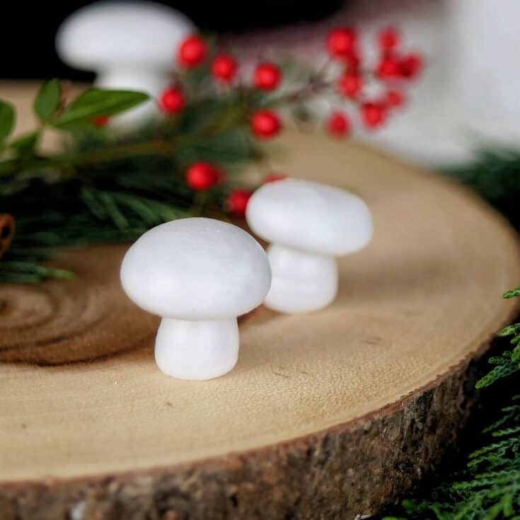 Meringue mushrooms on a wooden presentation plate with Christmas ferns in the back.