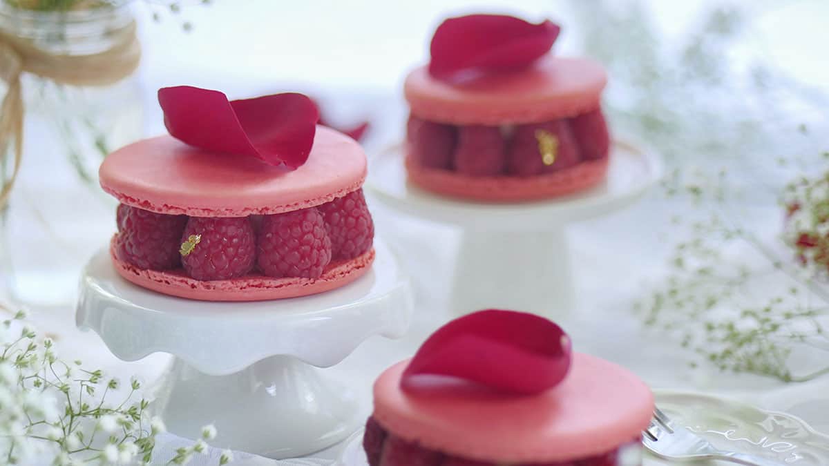 Close of the fresh raspberries sandwiched in between 2 large macaron shells to make a cake. 