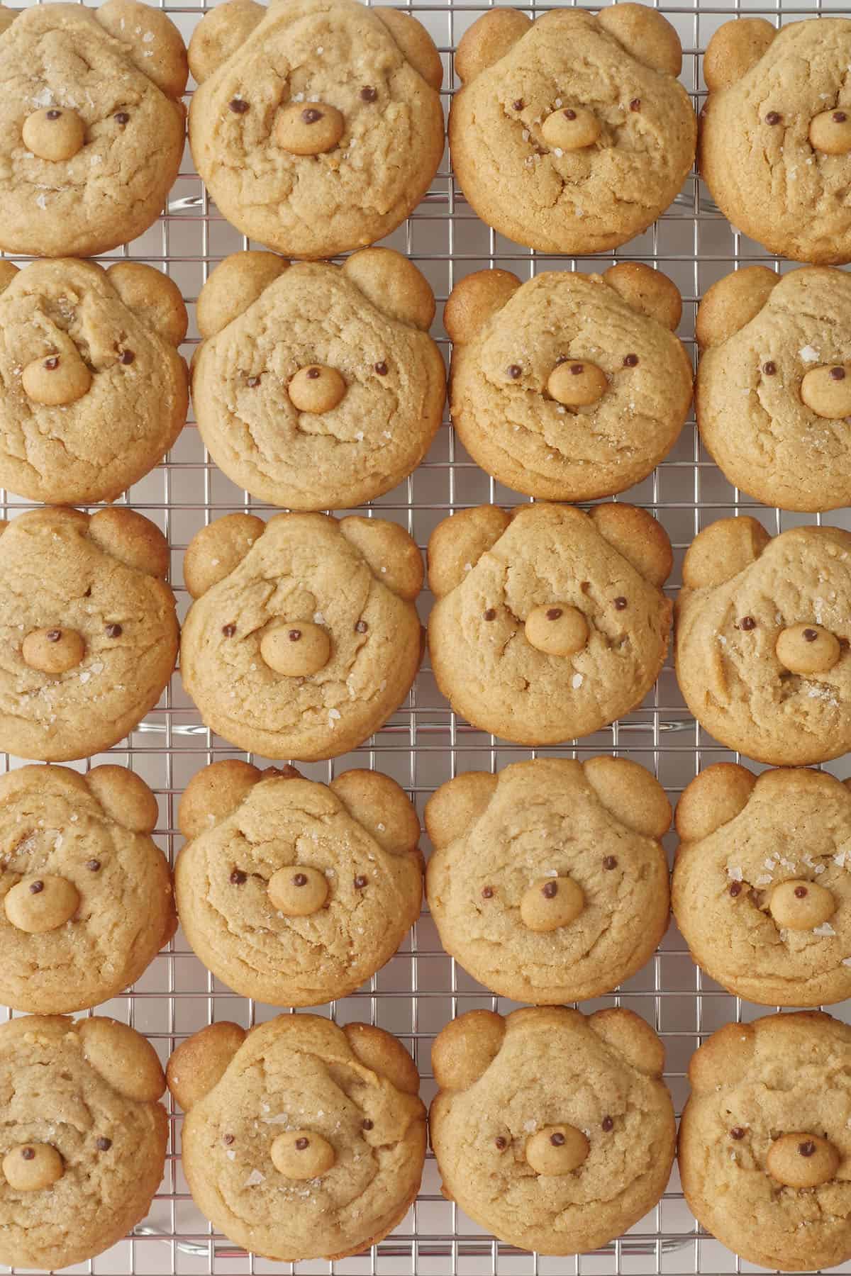 Many rows of bear cookies on cooling rack. 