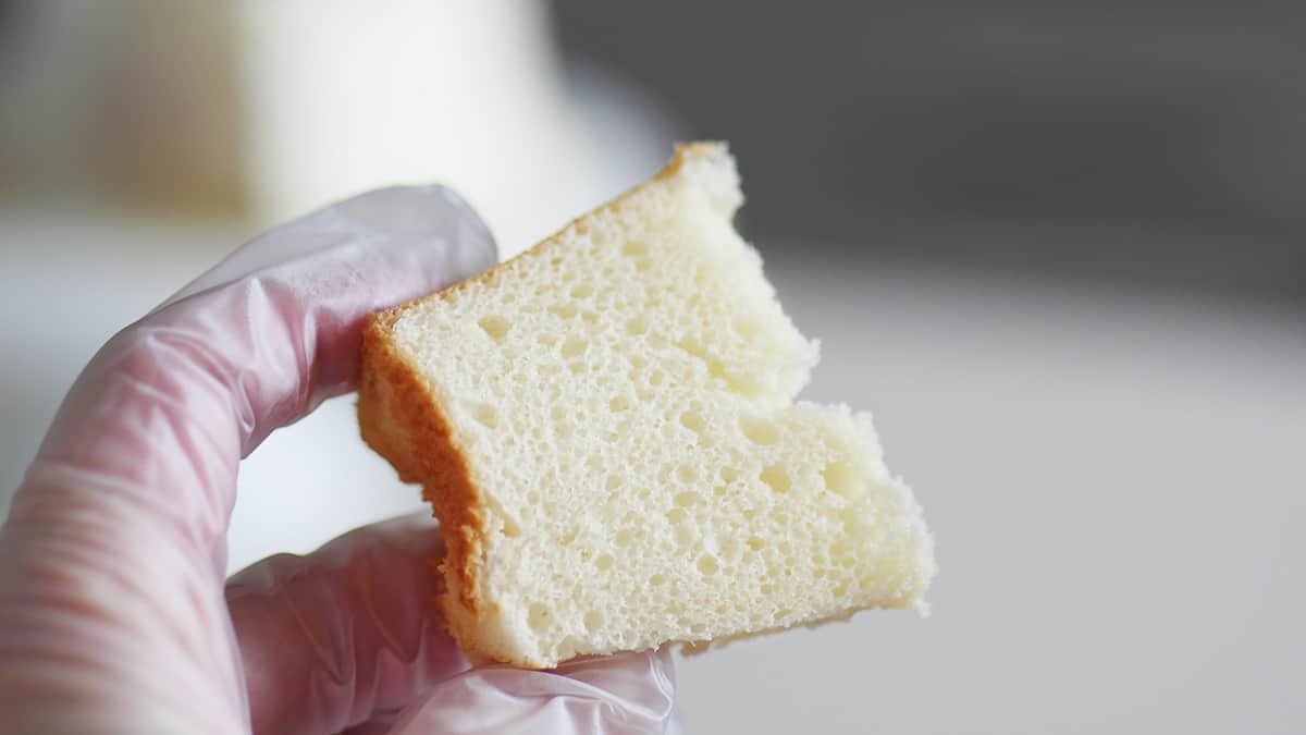 Close up of a slice of chiffon cakek showing its fine open crumbs. 