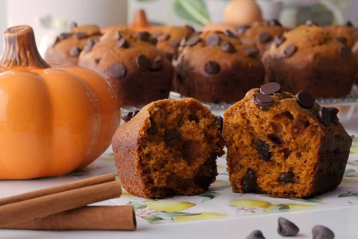Close up shot of a pumpkin cake loaf that is split open, the crumbs look open and the cake body looks tender. 